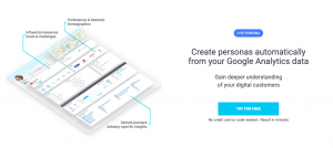 Delve.ai template persona marketing